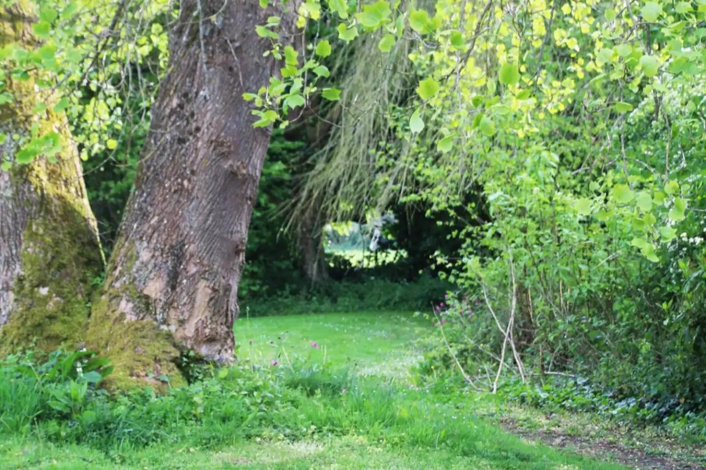Charmant Cottage 8 Personnes En Normandie Cleuville Bagian luar foto
